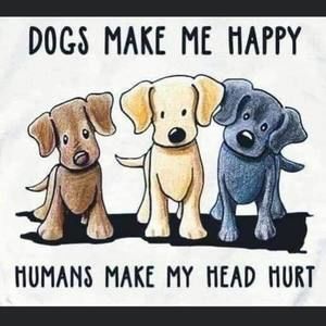 Meet your Posher, Jodi